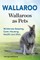 Wallaroo. Wallaroos as pets. Wallaroos Keeping, Care, Housing, Health and Diet.