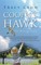 Cooper's Hawk