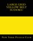 Large Grid Yellow Belt Sudoku