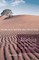 Alleluia is the Song of the Desert