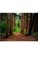 Nature grid style notebook $ir Michael NYC Limited edition