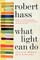 What Light Can Do PB
