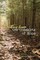 Writing From the Outskirts of Hope