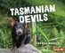 Tasmanian Devils