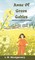 Anne of Green Gables (Wordsworth Collector's Editions)