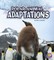 Polar Animal Adaptations