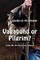 Vagabond or Pilgrim?