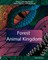 Adult Coloring Books