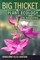 Big Thicket Plant Ecology