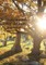 Survival Thoughts for the Continually Depressed