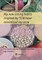 My new eating habits inspired by Traditional Chinese Medicine have minimized my acne