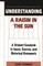 Understanding a Raisin in the Sun