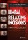 Limbal Relaxing Incisions