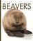 Beavers