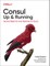 Consul: Up and Running