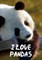 I Love Pandas Notebook