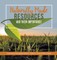Naturally Made Resources and Their Importance Environmental Management Grade 3 Children's Science & Nature Books