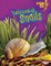 Let's Look at Snails