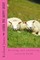 Laura the Happy Sheep