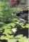 Fadel's Garden & The Watch and the Fairytale