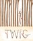 Twig