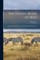 The Handy Book of Bees; Being a Practical Treatise on Their Profitable Management