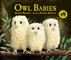 Owl Babies
