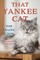 That Yankee Cat