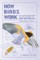 How Birds Work