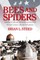 Bees and Spiders
