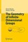 The Geometry of Infinite-Dimensional Groups