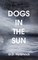 Dogs in the Sun