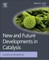 New and Future Developments in Catalysis