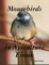 Mousebirds in Aviculture Ebook