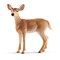 SCHLEICH WILD LIFE Baltastes briežu mātīte