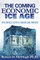 Five Critical Steps to Survive and Prosper in the Coming Economic Ice Age