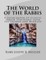 The World of the Rabbis