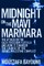 Midnight on the Mavi Marmara
