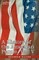 A History of the American People - In Five Volumes, Vol. V