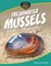Freshwater Mussels