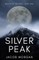 Silver Peak
