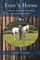 Trust 'n Horses