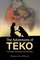 The Adventures of TEKO