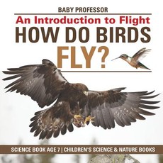 How Do Birds Fly? An Introduction to Flight - Science Book Age 7 Children's Science & Nature Books How Do Birds Fly? An Introduction to Flight - Science Book Age 7 Children's Science & Nature Books