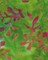 Green Jungle Batik Composition Notebook - Large Ruled Notebook - 8x10 Lined Notebook (Softcover Journal / Notebook / Diary)