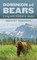 Dominion of Bears