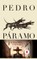 Pedro PÃ¡ramo (Pedro PÃ¡ramo, Spanish Edition)