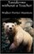 Taxidermy without a Teacher