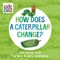 How Does a Caterpillar Change?