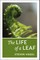 The Life of a Leaf